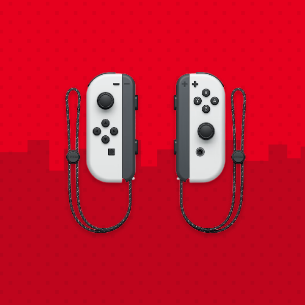 Nintendo Accessories